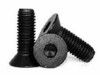 Flat Head Cap Screws