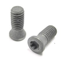 C03509-T10P TORX SCREW S