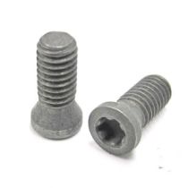 C04011-T15P M4-.7X4.13 TORX INSERT SCREW