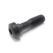 L85021-T15P M5-.08x.827"TORX CLAMP SCREW