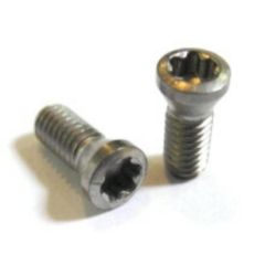 #0 IP8 TORX PLUS INSERT SCREW