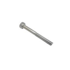 M4-0.70x55 (FT) SOCKET HEAD CAP SCREW-SS