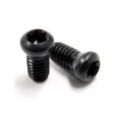 19035 M2.5-.45x0.233 INSERT SCREW