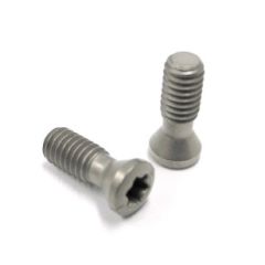 SR 34-535 M4-0.70x11MM T15 INSERT SCREW