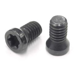 TS-4 M4-0.7x8 T15 TORX INSERT SCREW