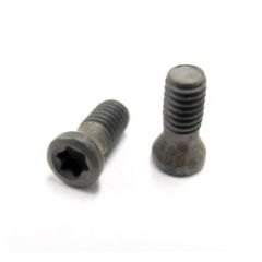 MS-1153 M2.5-0.45X.256 INSERT SCREW T7