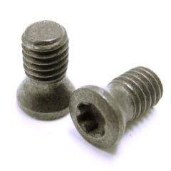 C03507-T10P TORX STYLE INSERT SCREW S