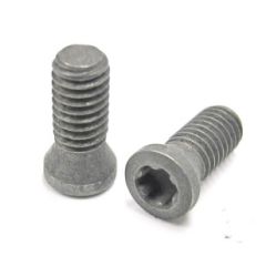 C04011-T15P M4-.7X4.13 TORX INSERT SCREW