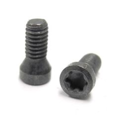 C02507-T08P M2.5x6.81MM INSERT SCREW