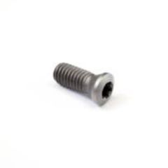 C04008-T15P M4-0.7X0.307 INSERT SCREW S