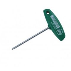 T15X100MM T-HANDLE TORX