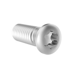 M5X0.8 IP20 TORX PLUS 4H INSERT SCREW
