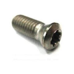 #3,#4 IP20 TORX PLUS INSERT SCREW