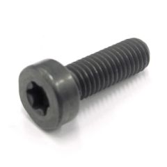 SR M5X15 TORX 25