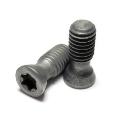 SR M5-04451 M5-0.8x12.7 T20 INSERT SCREW