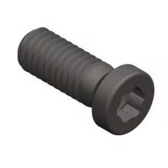 4.12T15EP T15 TORX SCREW