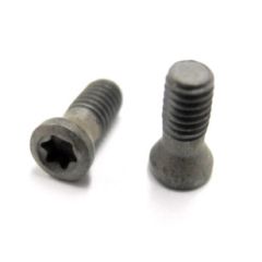 C02506-T07 M2.5 2.48" T7 INSERT SCREW