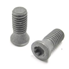 C03509-T10P TORX SCREW S