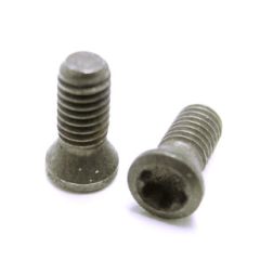 C02506-T08P M2.5 2.48" IP8 INSERT SCREW
