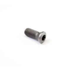 C02205-T07P TORX STYLE INSERT SCREW