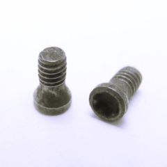 C01804-T06P TORX STYLE INSERT SCREW S