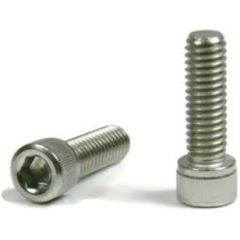 1/4-20x1/2(FT) SOCKET HEAD CAP SCREW-SS
