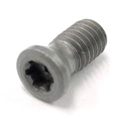 C03508-T10P TORX PLUS INSERT SCREW