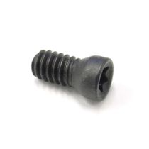 19041 INSERT SCREW