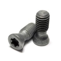 SR M5-04451 M5-0.8x12.7 T20 INSERT SCREW