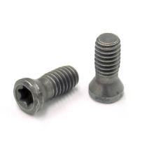 MS1153 M2.5x0.45x.256 SCREW, T-7 TORX
